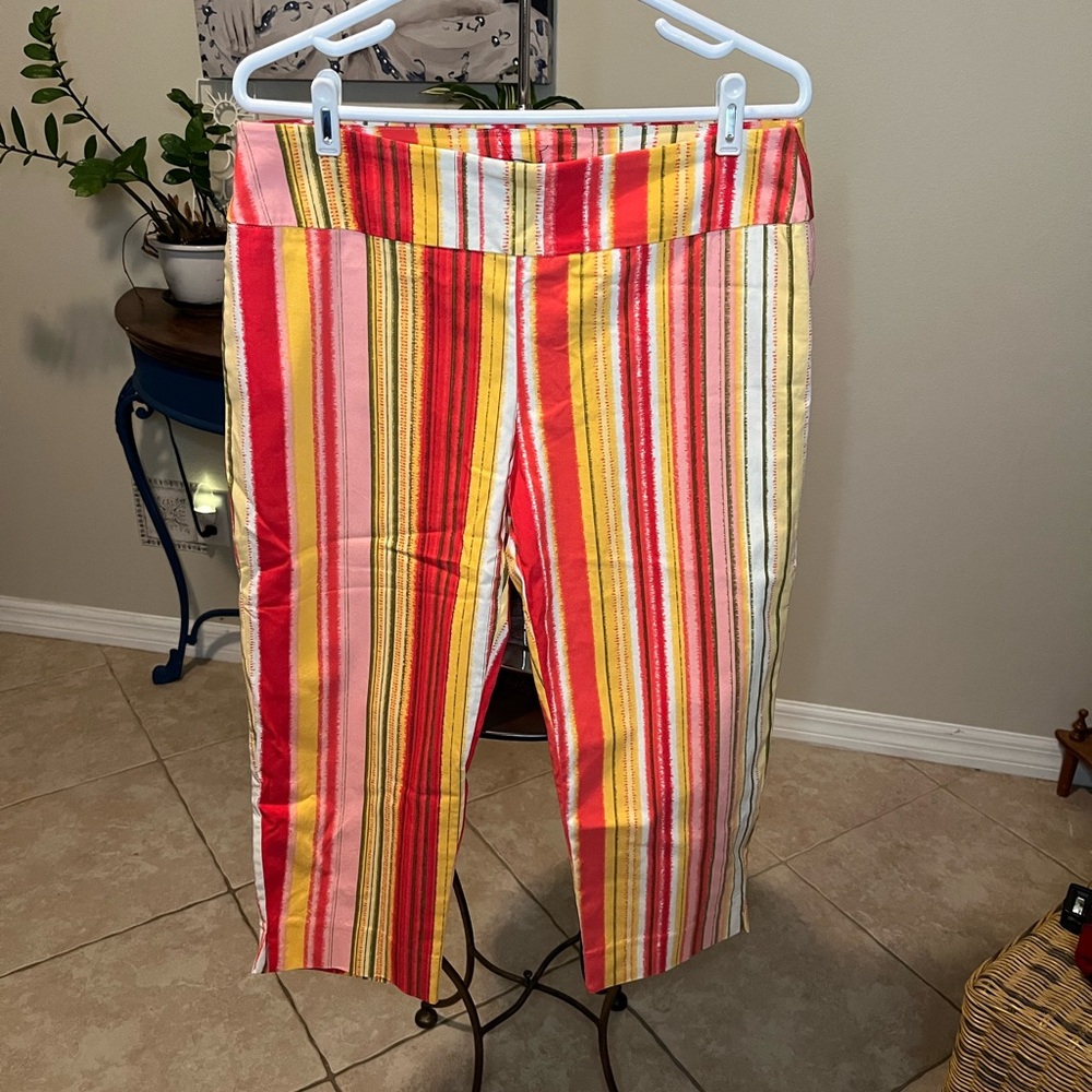 Zac & Rachel Cropped Capri Stretchy Striped Pants 14